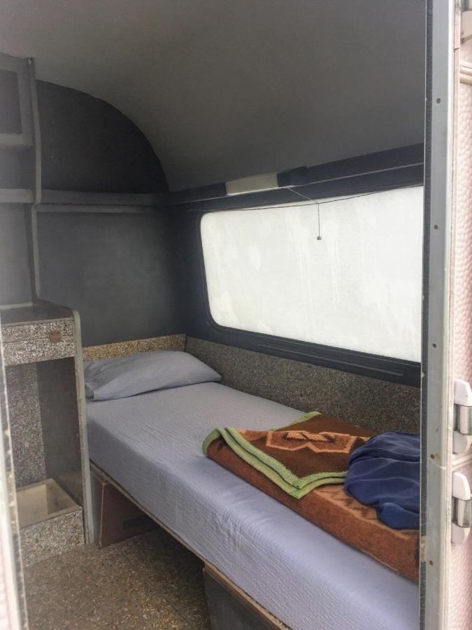 Camping Oaza Bela Crkva  Eksteriør bilde
