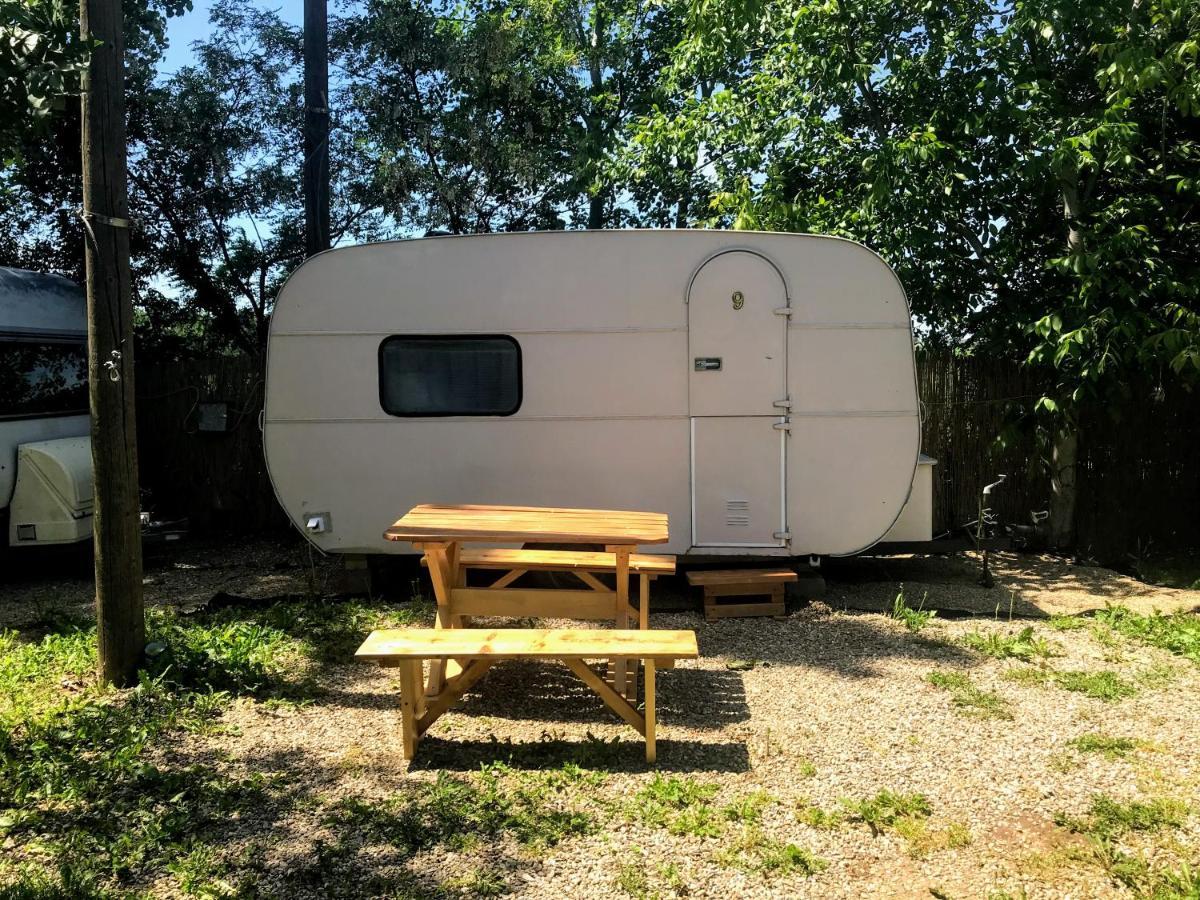 Camping Oaza Bela Crkva  Eksteriør bilde